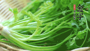 挑選鮮嫩的香菜，洗干凈后，處理成小段。