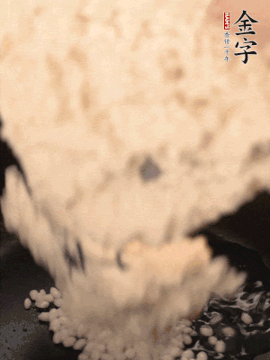 浸泡半天的糯米電飯鍋煮熟。